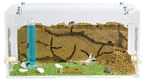 Anthouse.es - Hormiguero Natural de Arena - Kit Inicio Acrílico 20x10x10 cm - Granja de Hormigas con Colonia de Hormigas, Arena, Piptea y Bebedero Incluido - Fácil Instalación