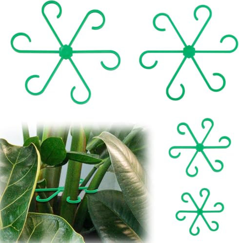 Monstera - Supporto per piante e piante, 8 pezzi, per supporto di steli vegetali, accessori per piante, supporto per filodendro Alocasia Monstera