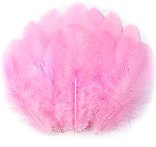 Soarer Rosa fjädrar för hantverk Naturliga fjädrar 300 st, 7,6–12,7 cm | Bröllop, hem, drömfångare tillbehör, gör-det-själv-hantverk och halloweensemesterfest