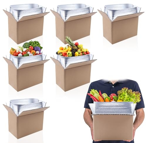 6 Pack Insulated Shipping Boxes with Aluminum Foil Insulated Bag，for Shipping Frozen Food Cold Shipping Boxes Large Foil Cooler Carton Moving Kits for Mailing Packing (with Insulated Bag)