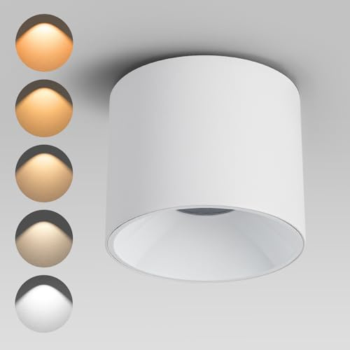 Ajbvp Modern LED Ceiling Spotlight 5CCT 4.72 inches 18W Dimmable Ceiling Light,2700K-5000K,for Living Room Spotlight Indoor (White- 18 Watts)