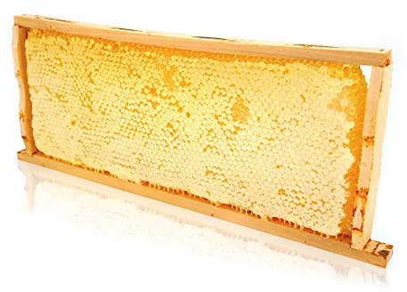 Panal de miel ImkerPur® en miel de acacia altamente aromática, 2200 g, en caja fresca y apta para alimentos