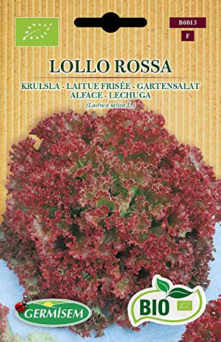 Germisem Bio Graines Laitue frisée LOLLO ROSSA