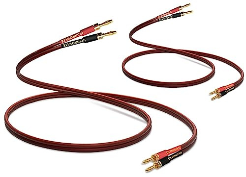 Confezione da 2 cavi di alta qualità in puro rame HIFI OFC con spina a banana, connettori placcati oro, maschio a maschio, 600 fili, 15 AWG, per altoparlanti audio, sistema HIFI Home Theater (3 m)