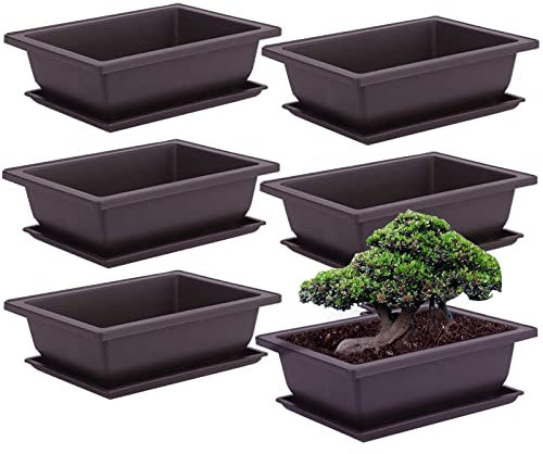6 stycken bonsai träningskrukor med bricka, bonsaiskål med underlägg, blomkruka suckulenter krukväxter blomkruka kvadratisk bonsaiskålar krukor för trädgård, vardagsrum och kontor (S)