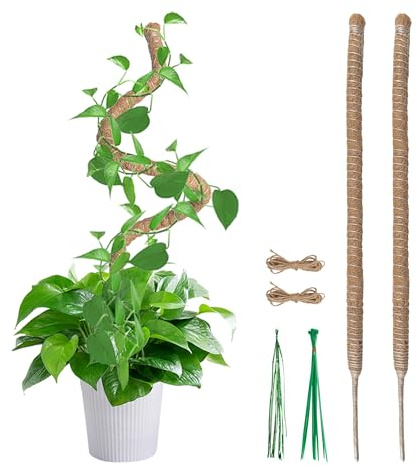 Mcbazel Postes de Musgo, 2 Postes Flexibles de Coco de 60 cm para Plantas trepadoras, Soporte para Plantas trepadoras, Soporte de Plantas Monstera para Interiores y Exteriores, con Bridas para Cables