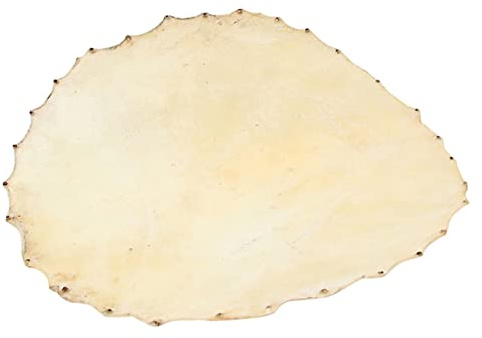 TOYANDONA 3St Trommelhaut strapazierfähige Trommelabdeckungen Ersatz-Trommelfell Trommelleder Trommelbezüge aus Schaffell Trommelfelle Sanft Djembe Lieferungen Musikinstrument Zubehör
