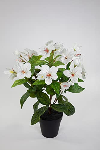 Seidenblumen Roß Hibiskus 40cm weiß-Creme im Topf ZF künstliche Pflanzen künstlicher Eibisch Kunstblumen Kunstpflanzen