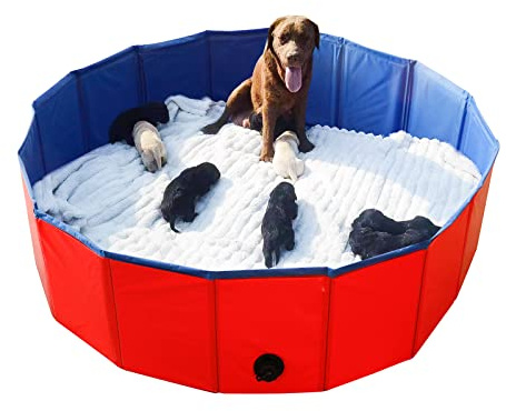Artilife Foldable Dog Bath Pool - Portable Whelping Box for Puppies & Dogs (47 Dia.x12 H(120x30cm))