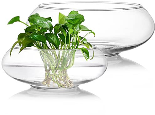 ZENFUN 2er Pack Glasvasenschale, 6/15CM, 8/20,5CM Weithals Blumenvase Rundes Terrarium, Hydroponisches Pflanzgefäß aus Glas Blumenbehälter für Tischaufsatz, Heimdekoration
