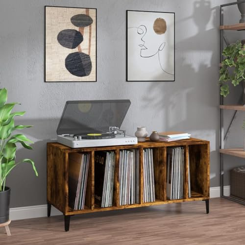 ShGaxin Möbel skivor plywood, rökt ek 100 x 38 x 48 cm, CD-hylla, skivspelare, skivskåp, vinylskåp, skivskåp - 831986
