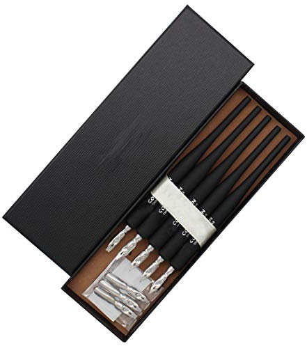 SIPLIV plastica professionale manga gothic pen dip dip set con 5 pennini manga calligraphy drawing pen kit - 5 pezzi, nero