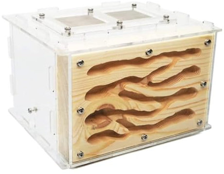 FENGJISUN Ameisenfarm Ameisen Farm Kreative Ameisenburg DIY Öko Acryl Holz Ameisenfarm Mit Fütterungsbereich Ameisenburg Ameisennest Ameisenfarm Erwachsener