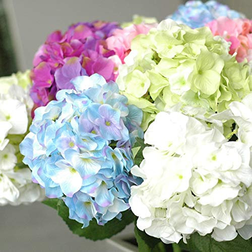 Shopvise Hydrangea Graines de fleurs fournitures de jardinage Big Air jardin Style de vivaces Jardin Fleurs Graines 20 Pcs