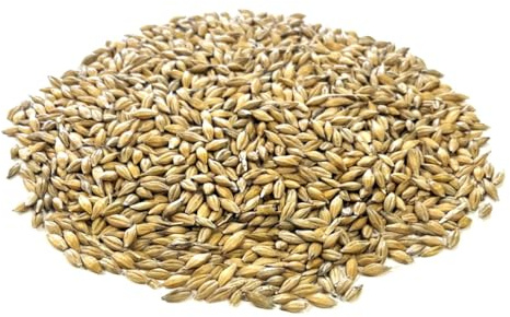 1kg Plain Canary Cage & Aviary Bird Food LGDS