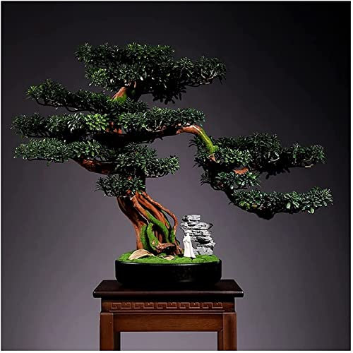 Konstgjorda Bonsai Skrivbordsdekorationer Simulering Välkommen Pine Bonsai Vardagsrum Skrivbord Gröna växter Krukad veranda Konstgjord växt Thuja Ornament Bordsdekor Konstgjord träd (B)