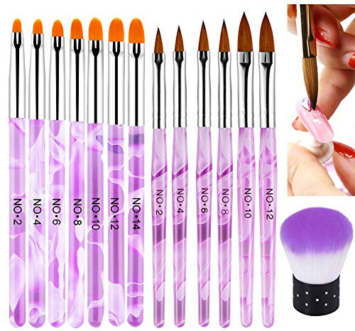 EBANKU UV Gel Nagelpinsel Set, Nailart Tipps Builder Pinsel Nagellackierpinsel Stift Nailart Staubentfernungspinsel Puder Nagelkunst Design für Frauen und Mädchen (14 PCS)