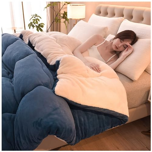 ZMIN Super Warm Lamb Quilt Winter Blanket Double-Sided Fleece Quilt Thickened Warm Plush Comforter Solid Color Down Duvet, Machine Washable,B,180x220cm(4kg)