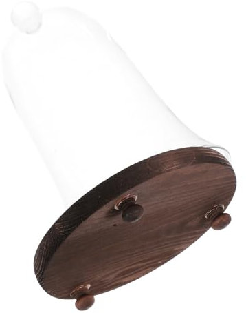 FONDOTIN 1set Eternal Flower Glass for Landscapes and Flower Displays Chic Decoration for Home and Parties