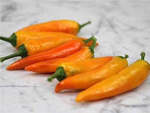 seedsown Germination Les graines: 50 - Graines: Tequila Sunrise Poivron Graines - Salades, Farce, Cuisine et Vaisselle Gourmet