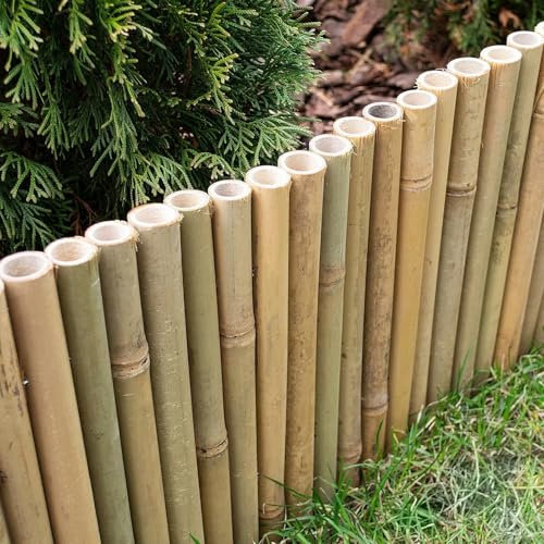 Floordirekt Bambus Beetumrandung - Flexible Beeteinfassung - Steckzaun - Rasenkante - Palisade - Abgrenzung für Blumen und Beete (20 x 100 cm)