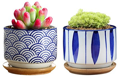 GeLive 3 Inch Ceramic Succulent Planter, Cactus Plant Pot, Flower Container with Bamboo Drip Tray, Indoor Outdoor, Set of 2 (Wave and Blue Flower)