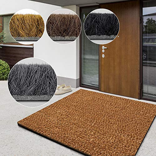 casa pura Paillasson d'entrée en Fibre de Coco Premium, Antidérapant, Tapis d'entrée Usage intensif, Tapis pour l'entrée Absorbant, Dense Velours Résistant (17 mm, 50 x 80 cm, Nature)