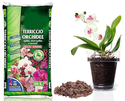 Virsus Kit Sacca Terriccio Orchidee 072 da 10LT + 3 Vasi rotondi per piante diametro 14cm con 3 sottovasi trasparenti diametro 12 cm, Corteccia Fresca, vaso per interno ed esterno per orchidea