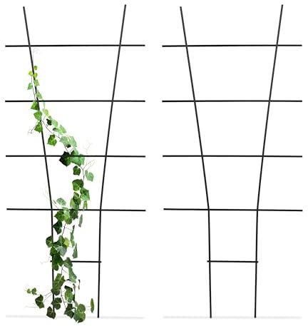 Relaxdays Pflanzenstütze, 2er Set, Rankhilfe Metall, Blumentopf & Pflanzkübel, HxB: 79x35 cm, Blumenstütze, schwarz