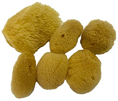Soft Natural 6 Silk Sponges 1.5-3 Cosmetic Makeup Application Removal Face Eye Nail Cleaning Like Cotton Balls Awesome Aquatic Creating The Perfect Home Bath & Shower Experience