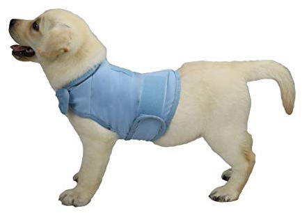 balancepaw Thunder Jacket for Dogs Anxiety Relief, Dog Anxiety Vest Calming Care for Separation, Thunderstorm, Travel, Fireworks, Vet Visits (Blue S)