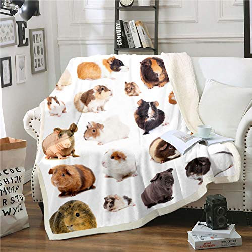Meerschweinchen Plüsch Bettdecke,Kinder Nagetier Rassen Sherpa Decke 150×200,Süße Tier Haustier Thema Fleece Decke Für Kinder Jungen Mädchen Kinder Schlafzimmer,Schöne Meerschweinchen Werfen Decke