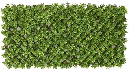 LOLAhome Celosía Extensible con seto Artificial Premium Boj de 1,8x0,9 m | Realista y Natural, Alta Ocultación, Tratamiento UV, No inflamable, Transpirable | para Jardín, Balcón, Terraza o Piscina