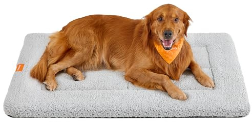 Feandrea Tapis Chien, Couverture pour Animaux, pour Chat, 120 x 75 cm, Taille XXL, Lavable en Machine, Adapté au Sèche-Linge, Antidérapant, Gris Clair PPB021G01