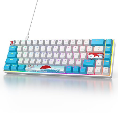 Owpkeenthy Portable 60% Mechanical Gaming Keyboard, Ultra Compact RGB Wired 65 Percent Mini Office Keyboard Backlit with Red Switch for PC/PS5/XBOX(Blue/ 68 Red Switch)