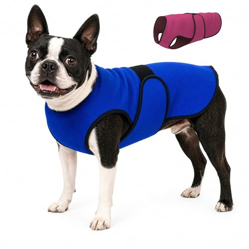 Dogzstuff Gilet de Refroidissement pour Chien léger avec Technologie de Microfibre évaporative et Anti-UV, Taille pour Chiens Petits, Moyens et Grands, (M, Bleu foncé)