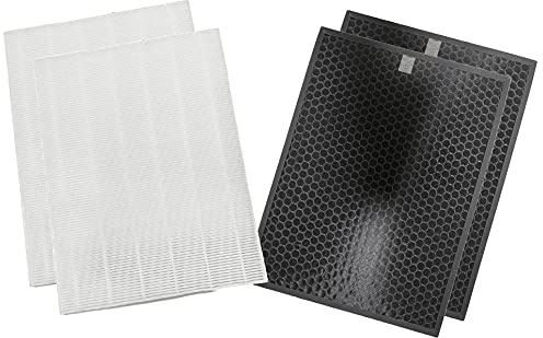 Nispira True HEPA Ersatzfilter T kompatibel mit Winix HR900 Luftreiniger Teil 1712-0093-00, 2 Packungen