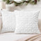 Artscope 2er Set Wolle Kissenbezüge Weicher Plüsch Kurzer Wollsamt Dekokissenbezuge Weihnachten Sofakissen Europäische Kissenhülle für Sofa Schlafzimmer Schneeflocke Weiß, 45x45cm