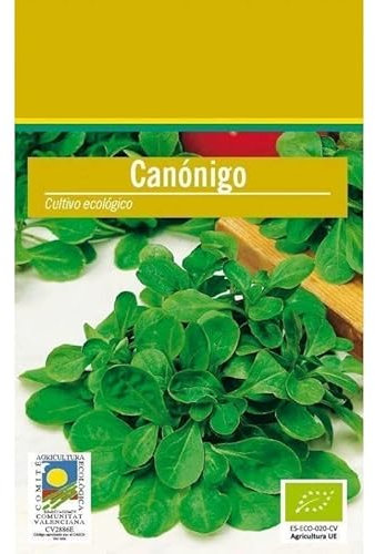 Semillas de Canónigos Verdura de Ensalada Semillas Fáciles de Cultivar en el Hogar