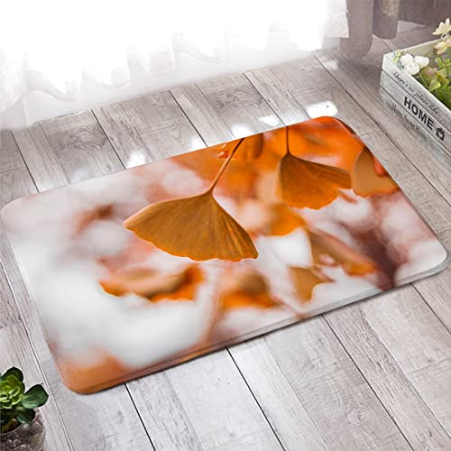 Bishilin Badezimmer Teppich 60x90 rutschfest, Fußmatte Outdoor Ginkgo Muster Türmatten Innen Waschbar