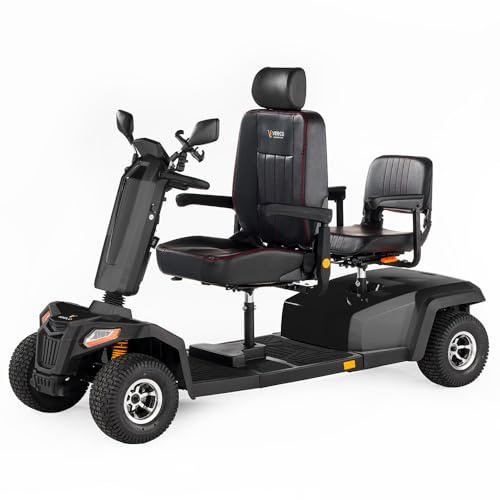 VELECO SHARPY TWIN – Veicolo elettrico a quattro ruote per 2 persone – motore potente e batteria a lunga durata – due posti (Nero)