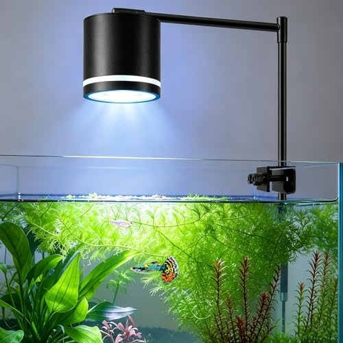 PYPABL Lampe à Pince pour Aquarium Blanche et Bleue, Éclairage Aquarium COB LED pour Bacs Coralliens et d'Eau Douce de 30 à 55cm, avec Fonctions de Gradation, Minuterie et Cycle 24/7