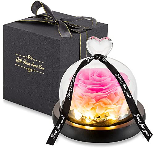 Glasseam Blumen Muttertag, Konservierte Rose Oma Geschenk, Ewige Rose im Glas mit LED Lichtern, Rosa Infinity Rosen Blumen Verschicken Geschenke für Mama, Romantische Valentinstag Geburtstag
