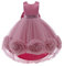 Lito Angels Robe Demoiselle d'honneur Ceremonie Mariage pour Enfant Filles Taille 9-10 Ans, Rose Poudré (étiquette en Tissu 150)