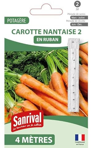 Graines Carotte Nantaise 2 Ruban