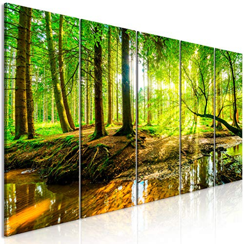 murando Cuadro Acústico Bosque 150x60 cm espuma acústica absorbe el sonido aislamiento lienzo de 5 piezas Impresión Artística Decoración de Pared - Paisaje Naturaleza c-B-0241-b-m
