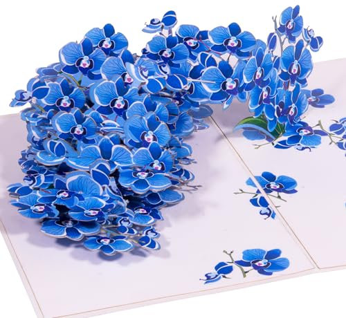 LINPOPUP® Pop-Up Karte Blumen - 3D Blumenkarte für Geburtstag, Muttertag, zum Abschied von Kollegin, Gute Besserung oder als Dankeskarte, als Geldgeschenk, Garten Gutschein, N309