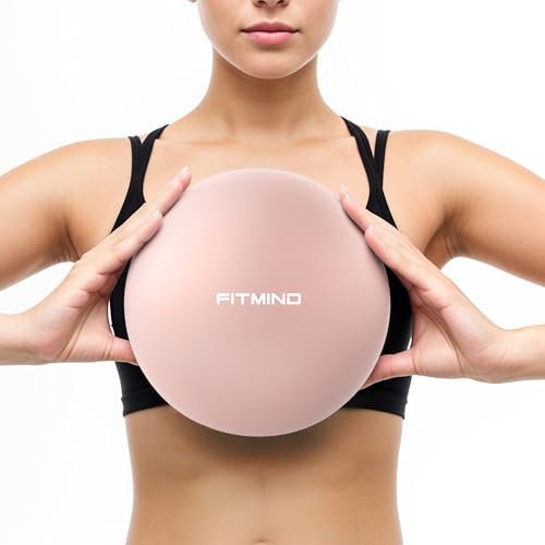 FITMIND_Pilates Ball 10 Inch Anti-Burst Slip Resistant Mini Yoga Ball for Fitness, Core Training, Physical Therapy, Balance, Stability, Stretching 200kg 440lbs Capacity - Pink