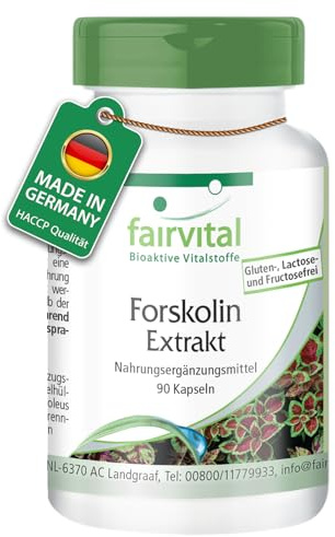 fairvital Forskolin-extrakt, 90 kapslar, lättsvälta, från Coleus Forskohlii-extrakt, kvalitetskontrollerade och högdoserade, 100% veganska, tillverkade i Tyskland