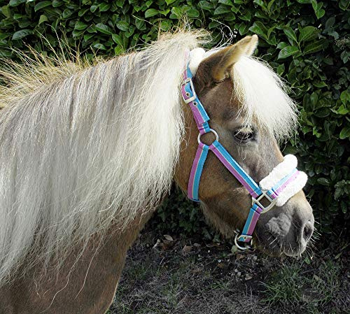 Rhinegold 323-turq Stripe-shet - Cavezza per Pony, a Righe Luminose, Taglia Piccola, Colore Turchese